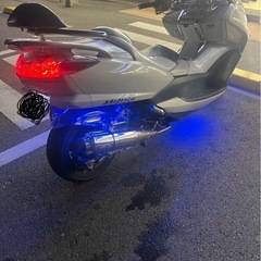 マジェスティの画像