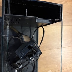 GEX水槽の画像
