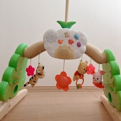 プーメリー 訳ありの画像