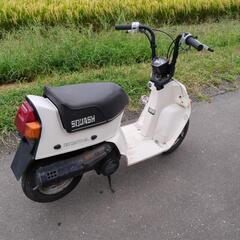 スカッシュ ホンダ レストアベース 希少白スカッシュの画像