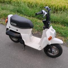 スカッシュ ホンダ レストアベース 希少白スカッシュの画像