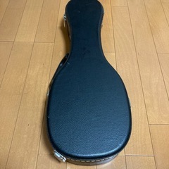 ウクレレ本体 初心者セット　ハードケース付　チューナー　教則DVD付の画像