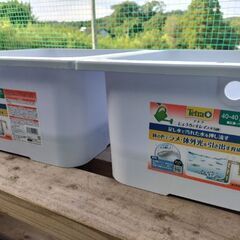 メダカ容器　新品　2ケース　めだか容器　金魚　石臼　鯉の画像