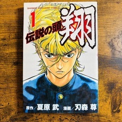 【中古】伝説の頭 翔 全11巻セットの画像