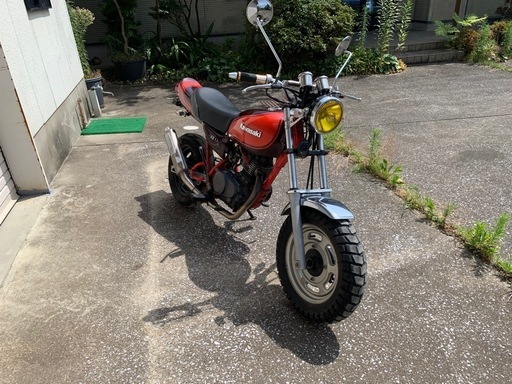 エイプ　カスタム