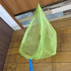 虫、魚鳥網の画像