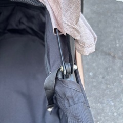 [お譲り先決まりました]Hanray HRking折り畳みペットカートの画像