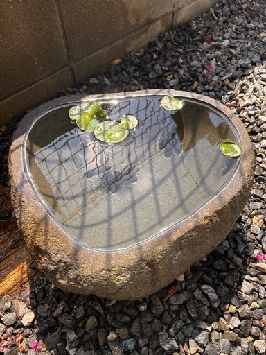 睡蓮鉢 石鉢 庭園 メダカ 水鉢 蹲 縁先鉢丸型 DIY