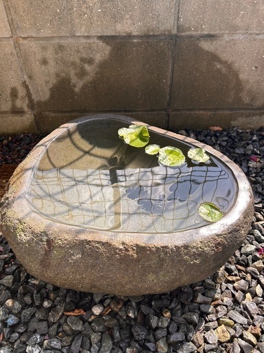 睡蓮鉢 石鉢 庭園 メダカ 水鉢 蹲 縁先鉢丸型 DIY