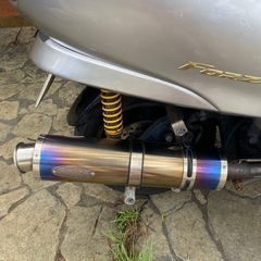 フォルツァZ 250 実働 の画像