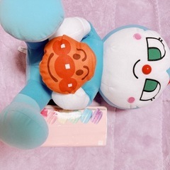 コキンちゃんの画像