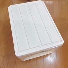 衣装ケース　クローゼットケース　ニトリ　Lの画像