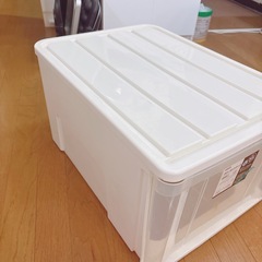 衣装ケース　クローゼットケース　ニトリ　Lの画像