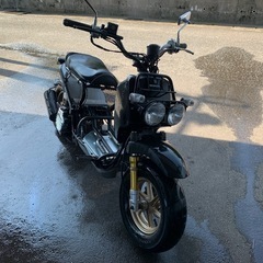 ホンダ　ズーマー　カスタム
の画像