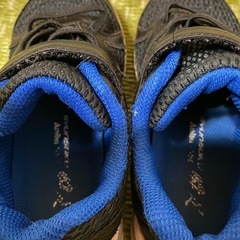 瞬足　17.0の画像