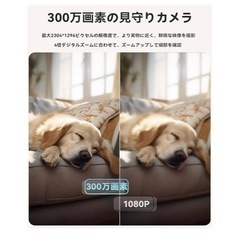 ⚠️取引早い方⚠️お守りカメラの画像