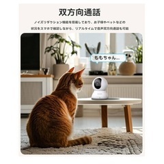⚠️取引早い方⚠️お守りカメラの画像