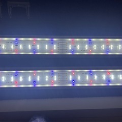 ジェックス GEX クリアLED クリア LED POWER III 600 2台セットの画像