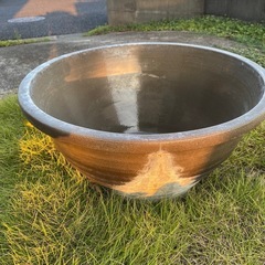 睡蓮鉢の画像