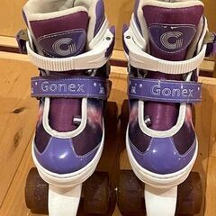 ローラースケート サイズL Gonexの画像