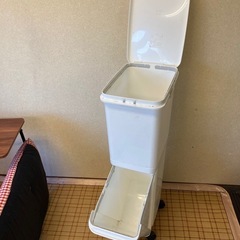 0円　2段のゴミ箱の画像