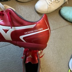 モナルシーダトレシューの画像