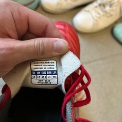 モナルシーダトレシューの画像