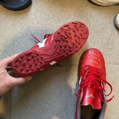 モナルシーダトレシューの画像