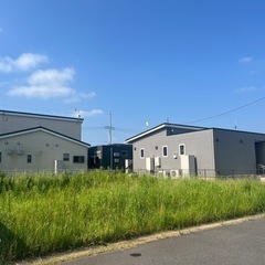 植木の剪定、伐採、草刈り等