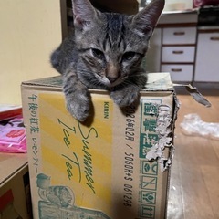 リフォーム工事👷‍♀️増改築請け賜ります。