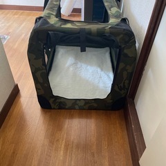 小型犬　室内ルーム　の画像