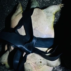 天然SUPPONの画像