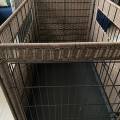 大型犬　ハウス　ケージ　クレート　室内の画像