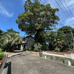 🏡 田んぼ・畑・裏山・池付き！  民泊やカフェ運営も可能な…