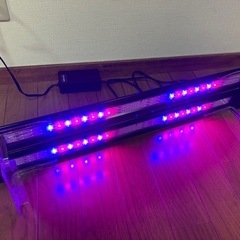 コトブキフラットLED ツイン の画像
