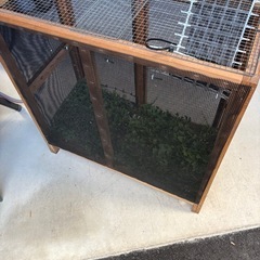 取引中　爬虫類ゲージ・手作りの画像