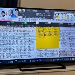 【9/20迄に引き取り希望】Panasonic 50V型 TH-50A305の画像