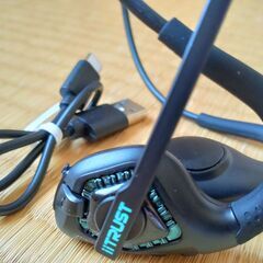 【配送可】美品 ほぼ未使用 ヘッドセット iiTRUST Earaku ワイヤレスイヤホンの画像
