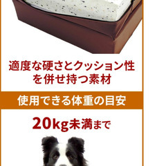 ペット　ステップ　階段の画像