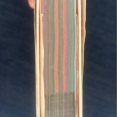 ふしぎと発見がいっぱい! 理科のお話366 PHP 小森栄治の画像