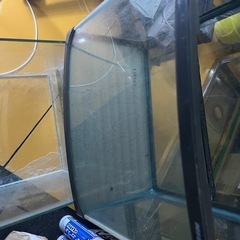 水槽差し上げます3個まとめての画像