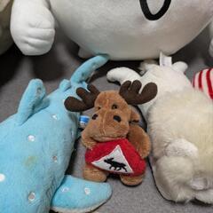 ぬいぐるみ　いろいろ　6点　お子様限定の画像