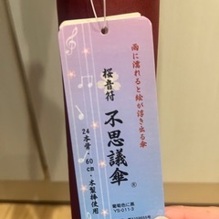 24本骨　木製棒　雨に濡れると花柄になる傘の画像