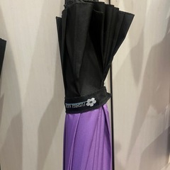 24本骨　木製棒　雨に濡れると花柄になる傘の画像