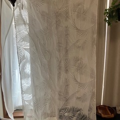 スケルトンカーテンの画像