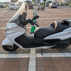 入れ替えの為出品します。9月10日迄の画像