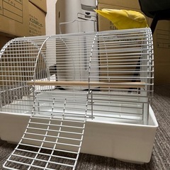 鳥かごの画像