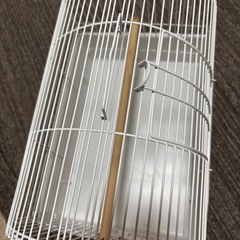 鳥かごの画像