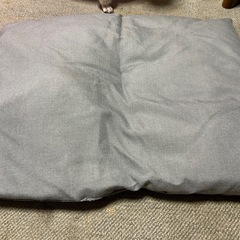 犬用ベットの画像