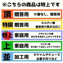 採れたて葉とらずつがる3KGの画像